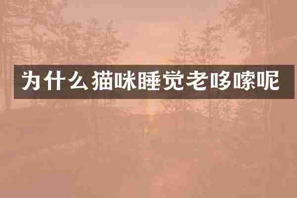 为什么猫咪睡觉老哆嗦呢