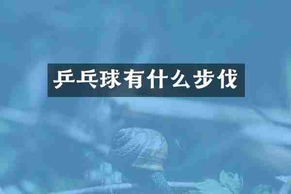 乒乓球有什么步伐