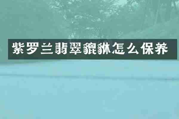 紫罗兰翡翠貔貅怎么保养