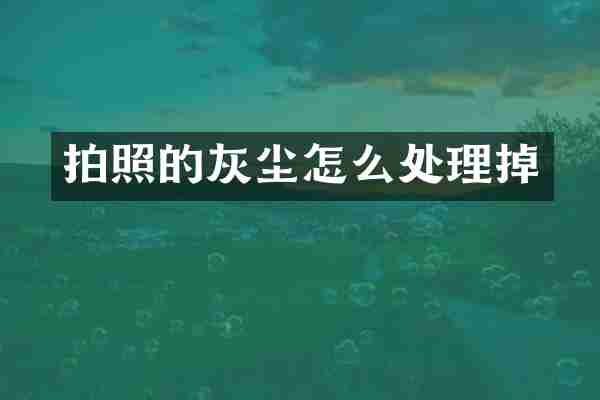 拍照的灰尘怎么处理掉