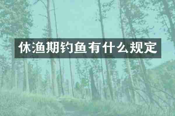 休渔期钓鱼有什么规定
