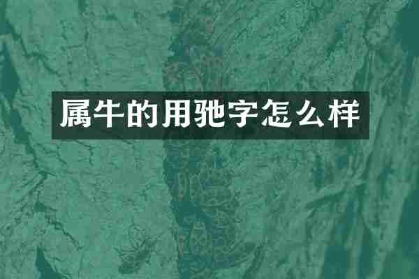 属牛的用驰字怎么样