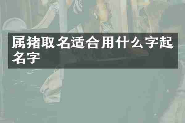 属猪取名适合用什么字起名字