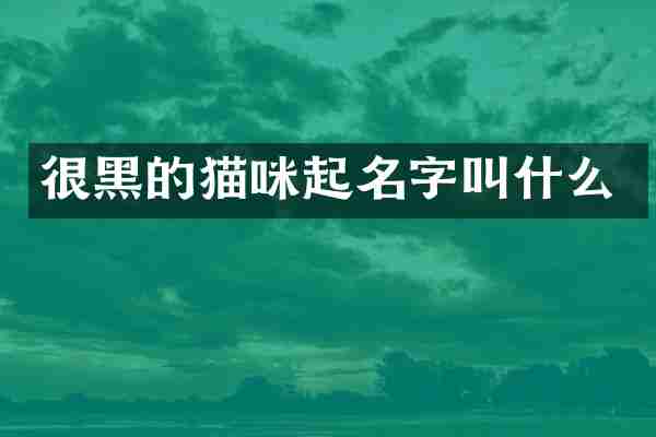 很黑的猫咪起名字叫什么