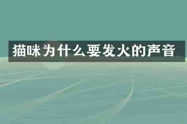 猫咪为什么要发火的声音