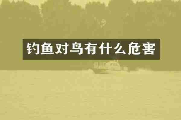 钓鱼对鸟有什么危害