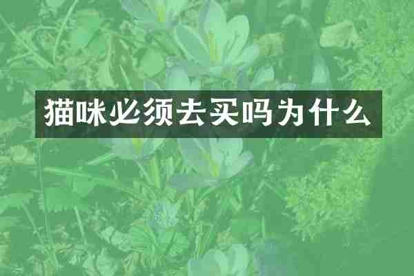 猫咪必须去买吗为什么