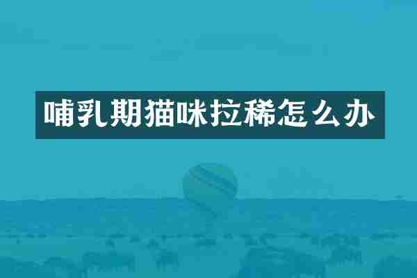 哺乳期猫咪拉稀怎么办