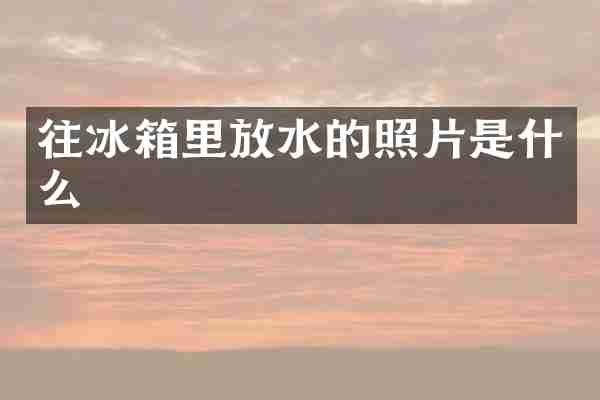 往冰箱里放水的照片是什么
