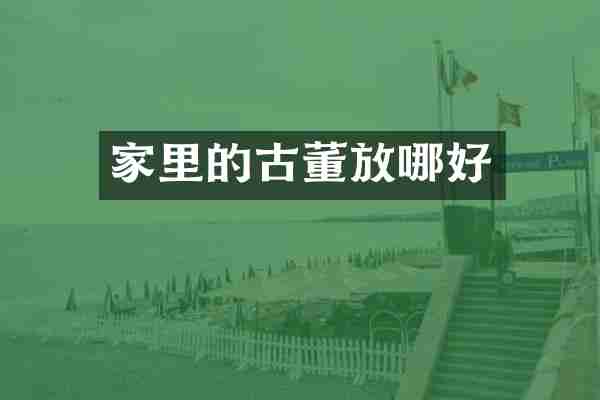 家里的古董放哪好
