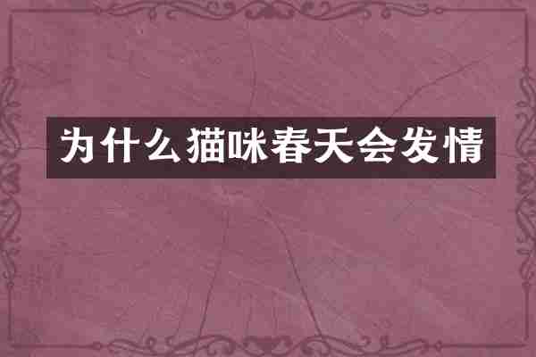 为什么猫咪春天会发情