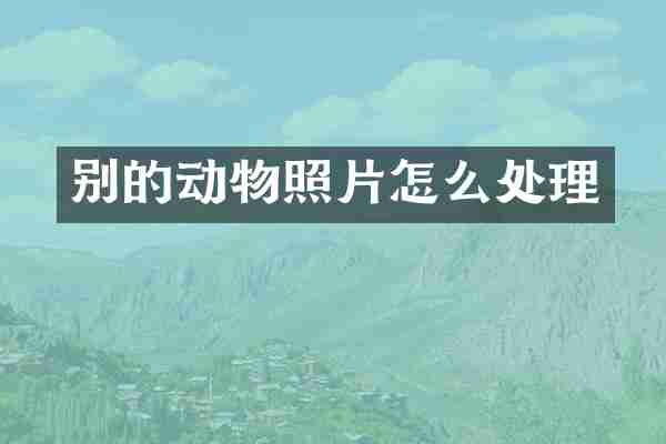 别的动物照片怎么处理