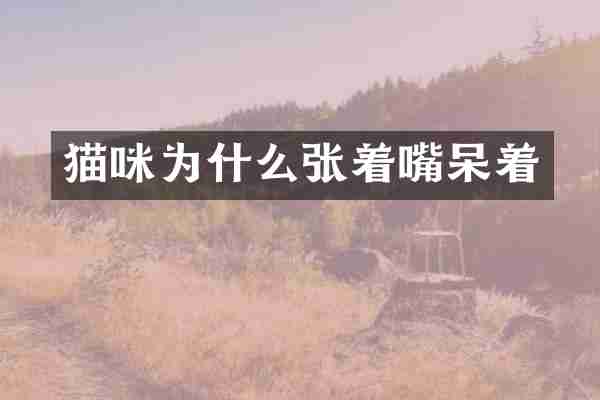 猫咪为什么张着嘴呆着