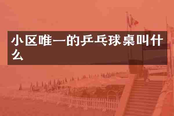 小区唯一的乒乓球桌叫什么