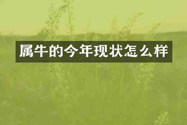 属牛的今年现状怎么样