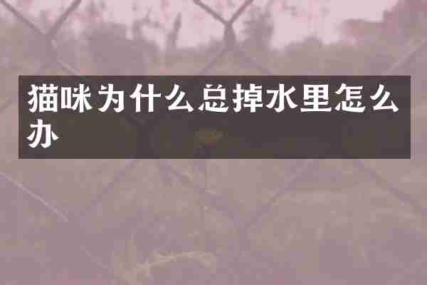 猫咪为什么总掉水里怎么办