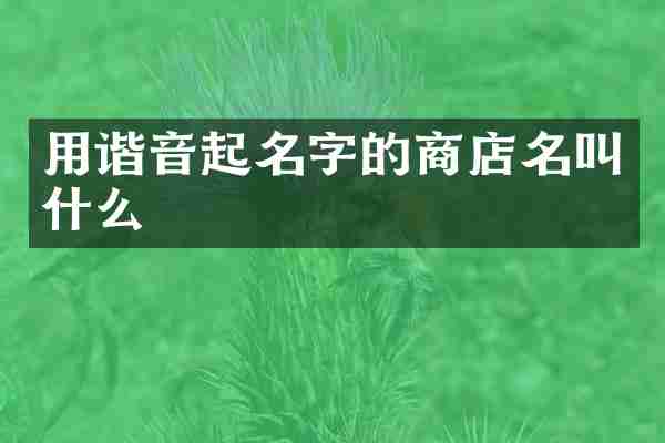 用谐音起名字的商店名叫什么