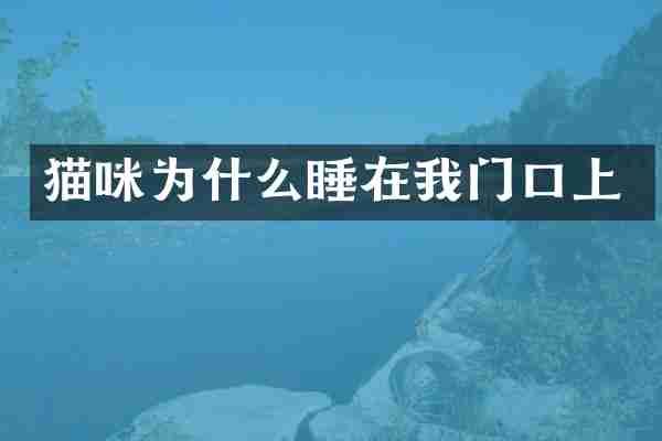 猫咪为什么睡在我门口上