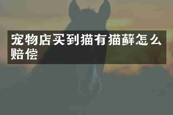 宠物店买到猫有猫藓怎么赔偿