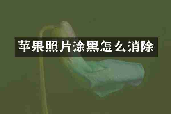 苹果照片涂黑怎么消除