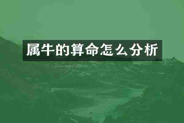 属牛的算命怎么分析