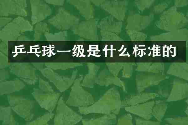 乒乓球一级是什么标准的
