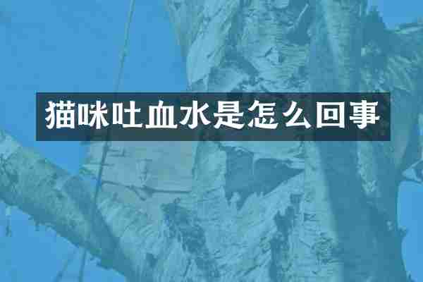 猫咪吐血水是怎么回事