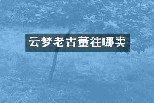 云梦老古董往哪卖