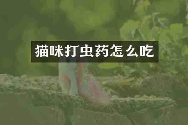 猫咪打虫药怎么吃