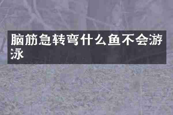 脑筋急转弯什么鱼不会游泳