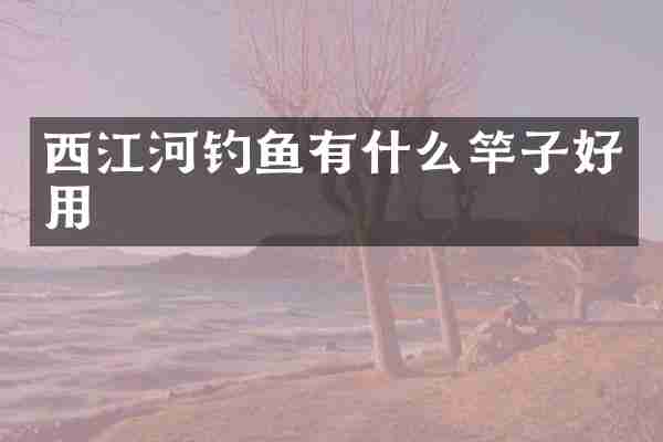 西江河钓鱼有什么竿子好用