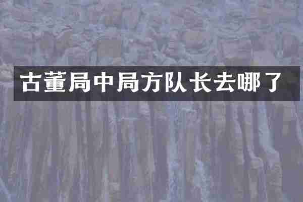 古董局中局方队长去哪了