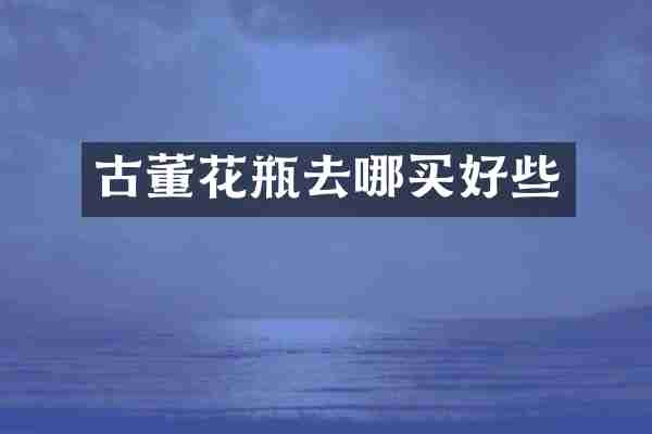 古董花瓶去哪买好些