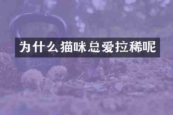 为什么猫咪总爱拉稀呢
