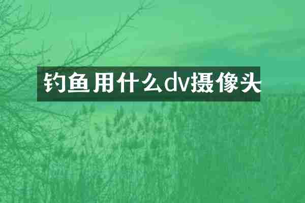 钓鱼用什么dv摄像头