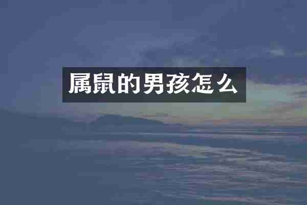 属鼠的男孩怎么