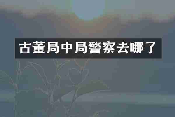 古董局中局警察去哪了