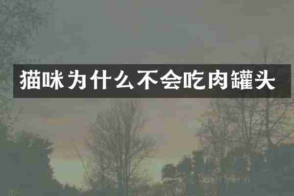 猫咪为什么不会吃肉罐头