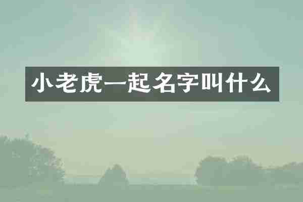 小老虎一起名字叫什么