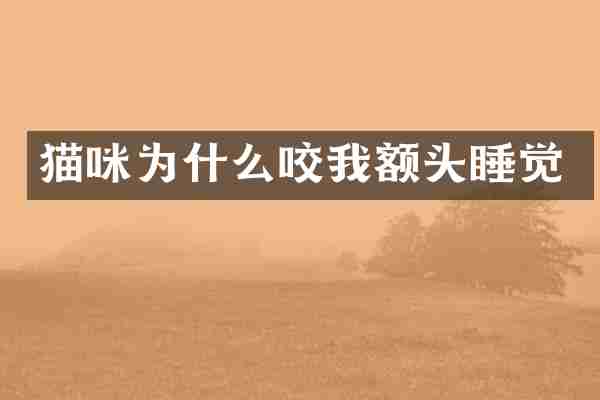猫咪为什么咬我额头睡觉