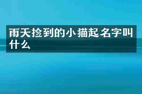 雨天捡到的小猫起名字叫什么