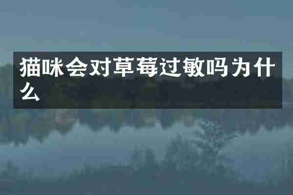 猫咪会对草莓过敏吗为什么