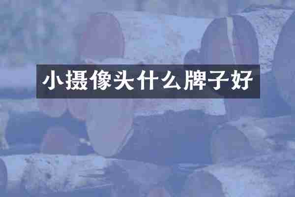 小摄像头什么牌子好