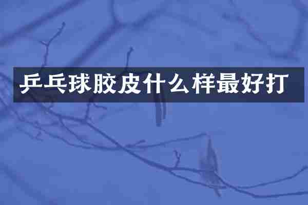 乒乓球胶皮什么样最好打