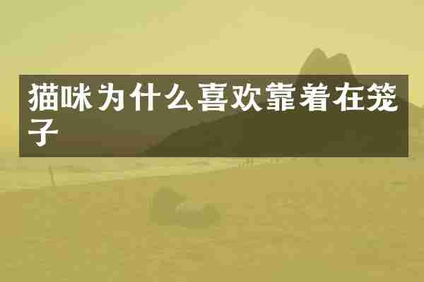 猫咪为什么喜欢靠着在笼子