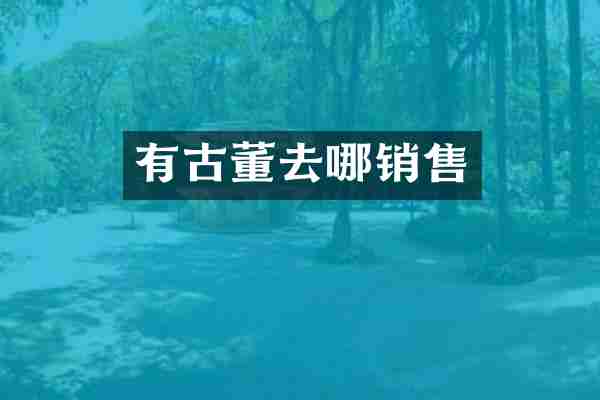 有古董去哪销售