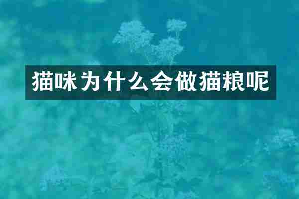猫咪为什么会做猫粮呢