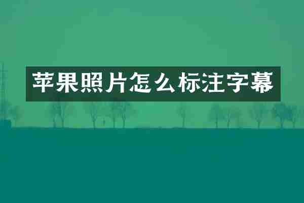 苹果照片怎么标注字幕