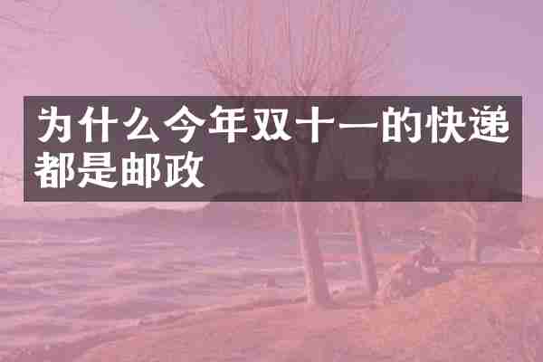 为什么今年双十一的快递都是邮政