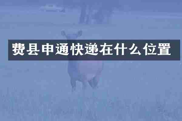费县申通快递在什么位置